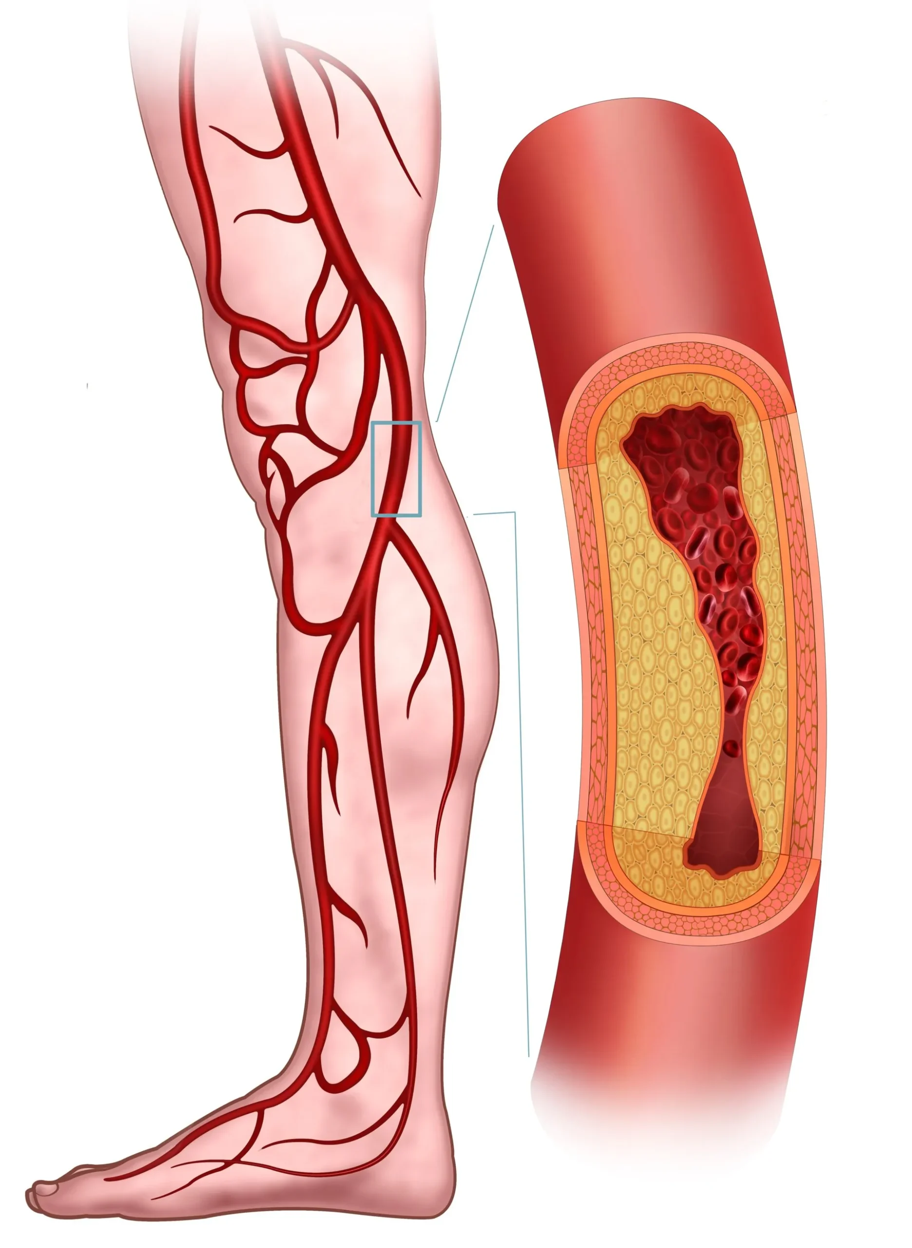 shutterstock 1535065904 1920w scaled